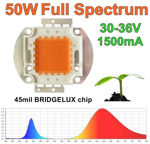 31e49f0e73bada3c3f42ebf968826741