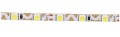 Led-Byt.pl taśma led skrętna SMD5050 14,4W EPISTAR (3).JPG