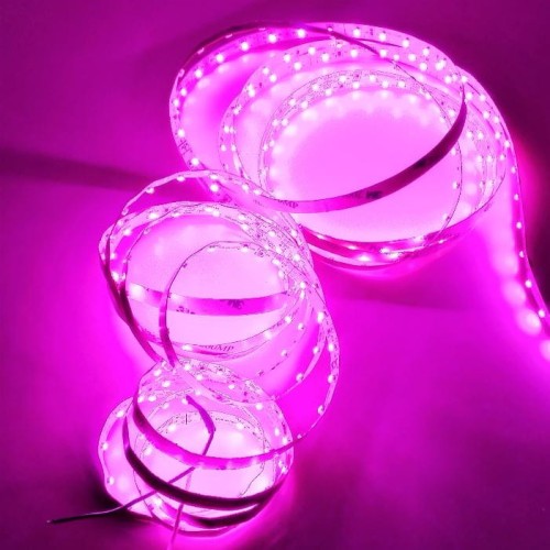 Led-Byt.pl taśma fioletowa SMD3528  IP20 60led 300led 4,8W 12V.JPG