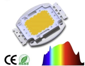 Dioda LED 50W White Full Spectrum pełne widmo do roślin