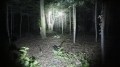 Led-Byt.pl Latarka Led C12 2